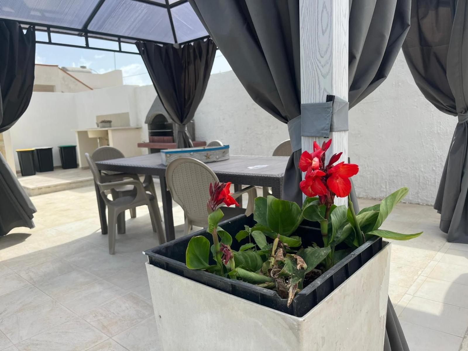 Villa Tellina Mare Luna 그라넬리 외부 사진